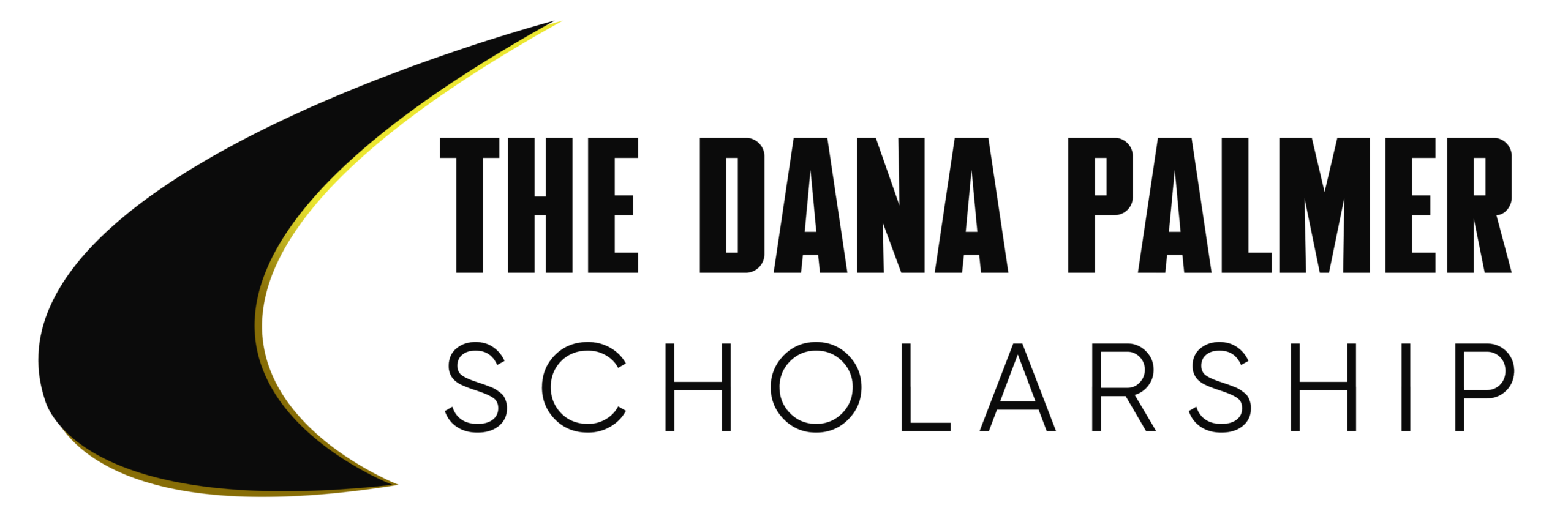 Dana Palmer Scholarship